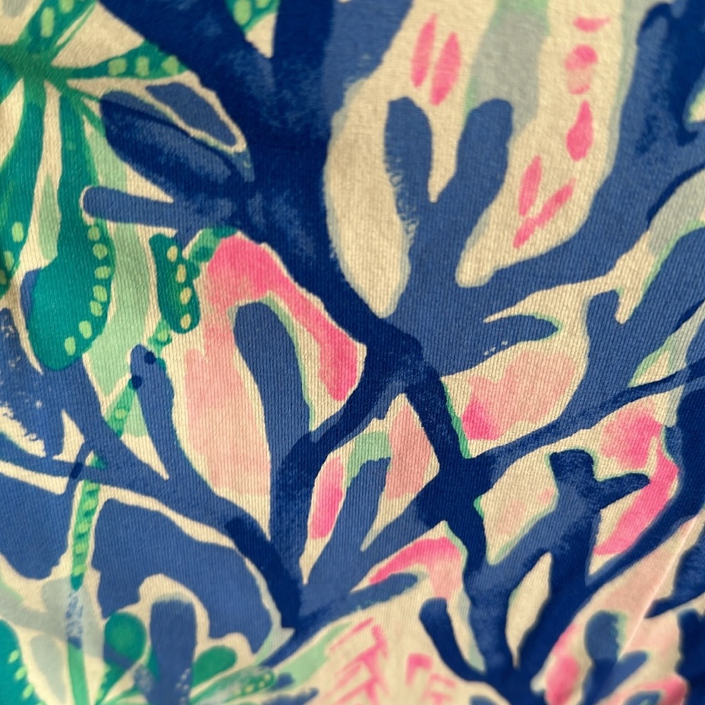 Lilly Pulitzer dress - Picture 4 of 4